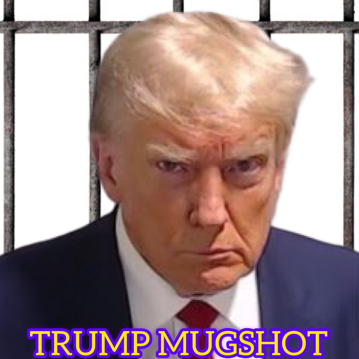 😲 is this the official <a href="/realDonaldTrump/">Donald J. Trump</a>  mugshot ?