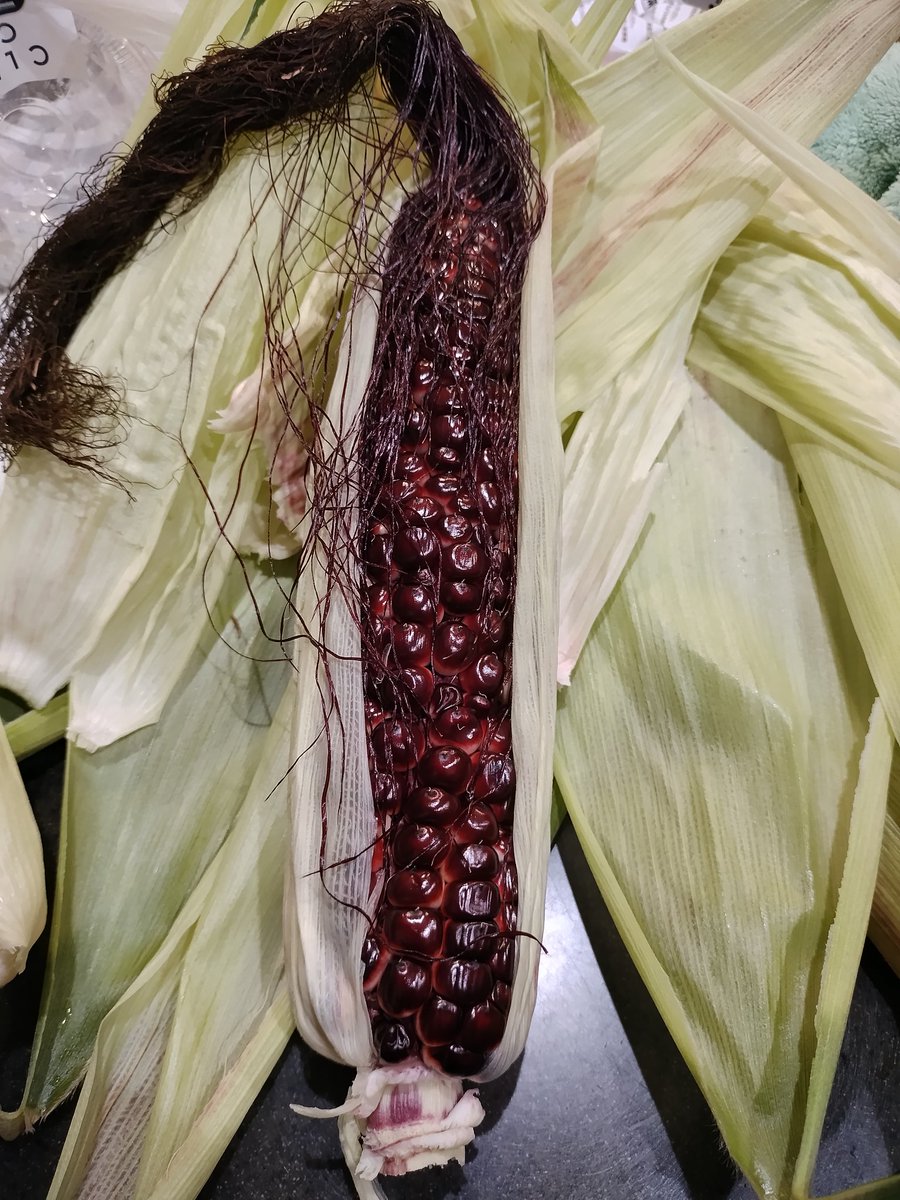 TimeStyle_WB's tweet photo. Red corn.  .  .  Ominous!
#Red corn
#トウモロコシ https://t.co/JxXnbo0a3G