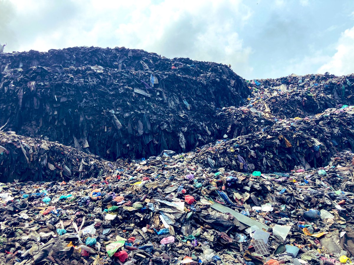 May McQuade tweet media