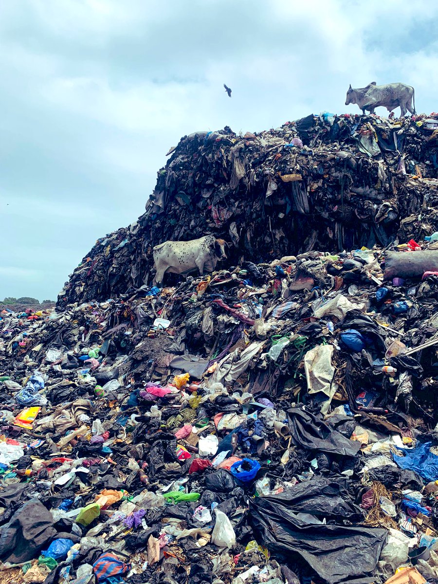 Pics from a research trip to Ghana exploring the geopolitics of consumption and waste.

In Kantamanto Market clothes from European charity shops &amp; donation bins are upcycled. Traders are PAYING for our waste and cows are grazing on mountains of our bad decisions.

Fast Fashion 🤮