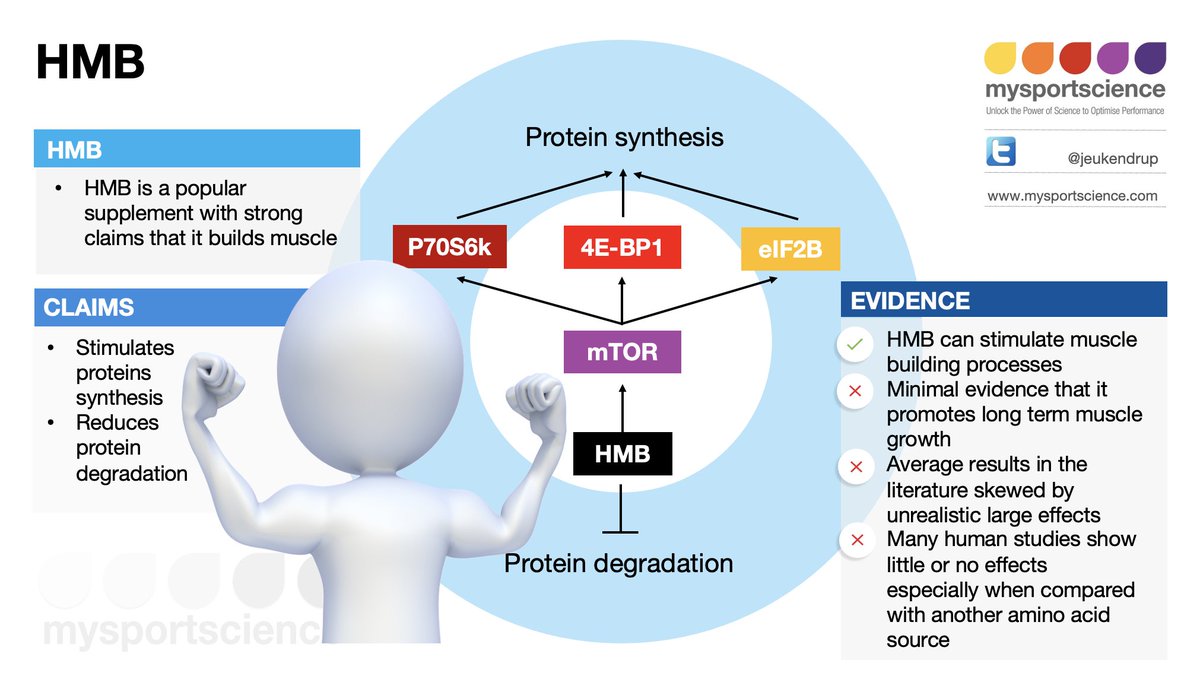 Jeukendrup's tweet photo. NEW blog: Does HMB build muscle? https://t.co/FMbpoYpDGN

HMB may have anabolic properties, but does this lead to increased muscle growth? Should athletes start supplementing with HMB to build muscle? Read the blog for more! https://t.co/uJPh0Z4sx9