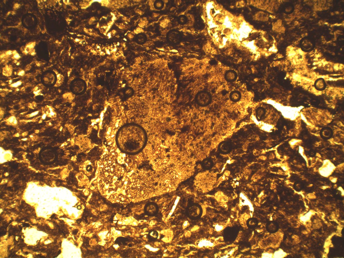 This #FindsFriday, we’ve got a quiz! 💭

These are two microscopic photos of finds from our Wickhurst Green excavations… but what are the artefacts they depict?🤔

Put your thinking hats on and cast your answer in the poll! We’ll reveal the truth later today...
