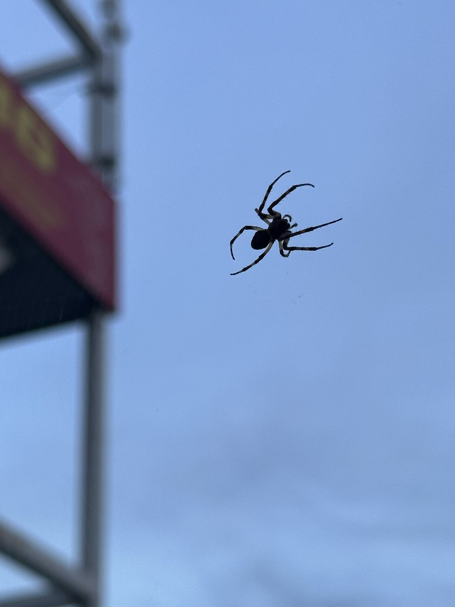 moritzotto's tweet photo. @NoContextHumans 🕷️ https://t.co/meb4lCPniU