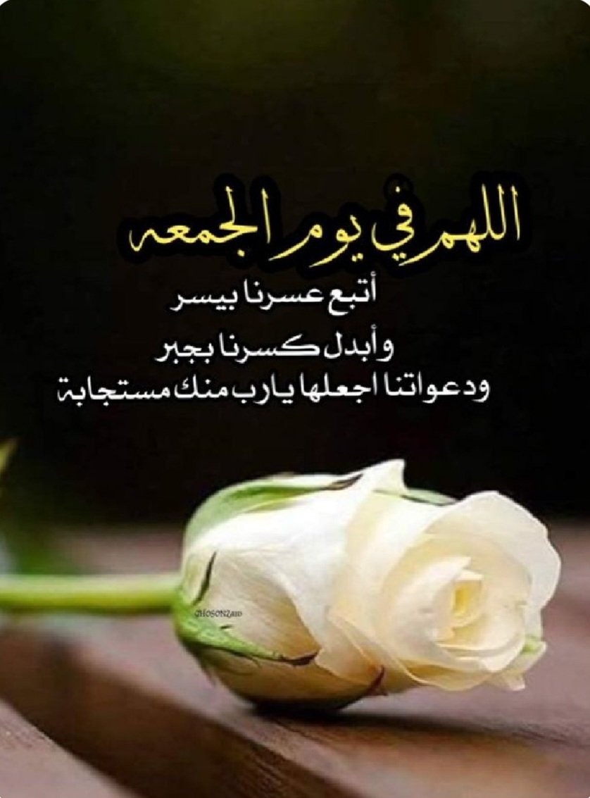 samehabanjar's tweet photo. ... 🌹 https://t.co/LMvr2YDPv1