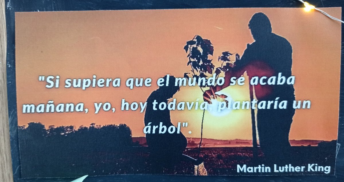 Jessica Lorenzo Rhodes tweet media