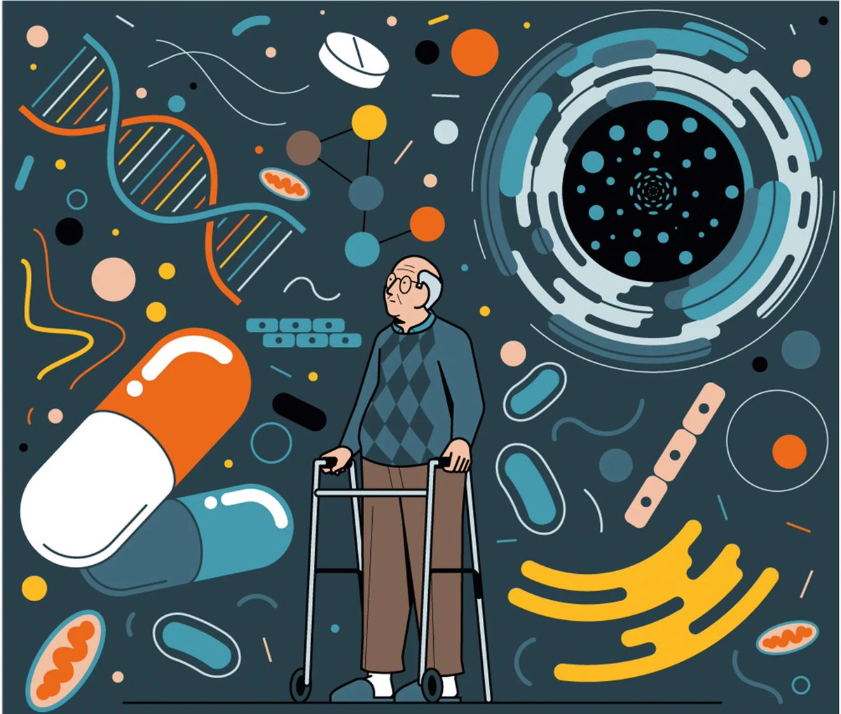 clincgenetics's tweet photo. Genetics and aging are like chapters in a book, each influencing the other in remarkable ways. A person's genetic makeup plays a role in how someone age from the development of age-related conditions to the pace at which the bodies undergo change.
#ScienceOfAging #AgingGracefully https://t.co/7QWyrXbujT