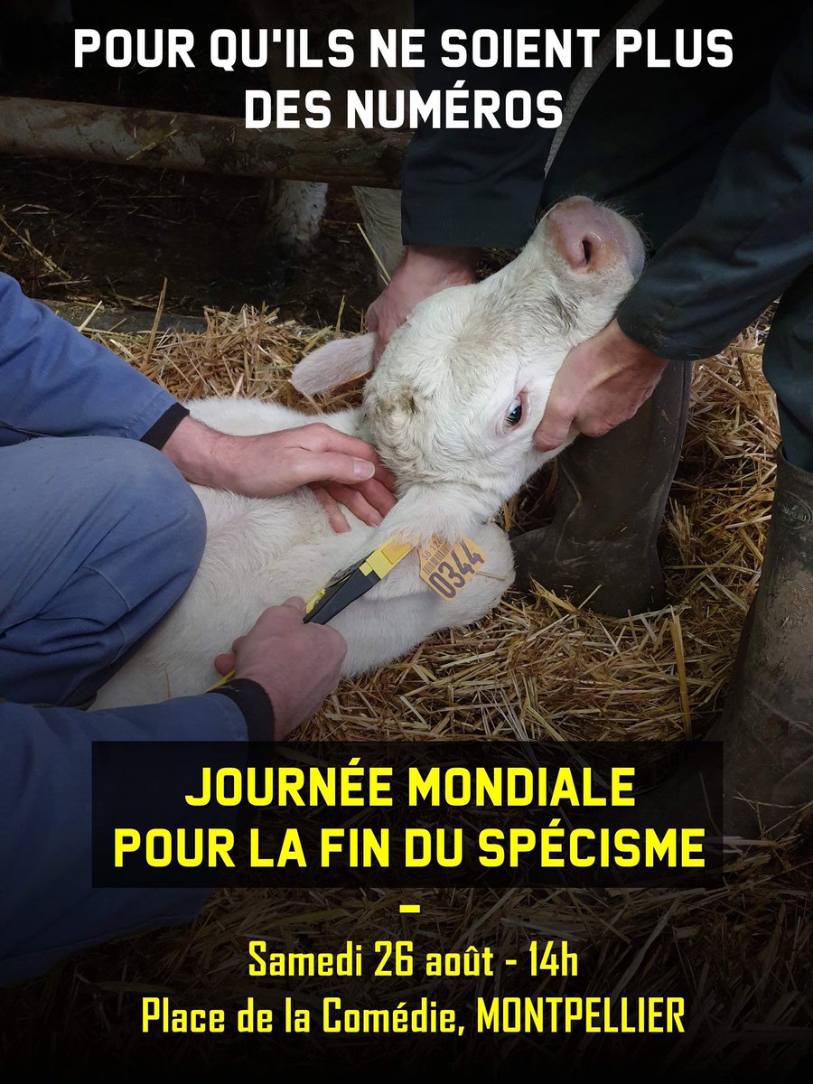 📍Montpellier - Rassemblement prévu demain
Prises de paroles et marche dans la ville pour exiger l’abolition du spécisme.

En février dernier, les spécistes étaient 13 000 à Montpellier pour défendre la violence.
À nous de jouer ✊