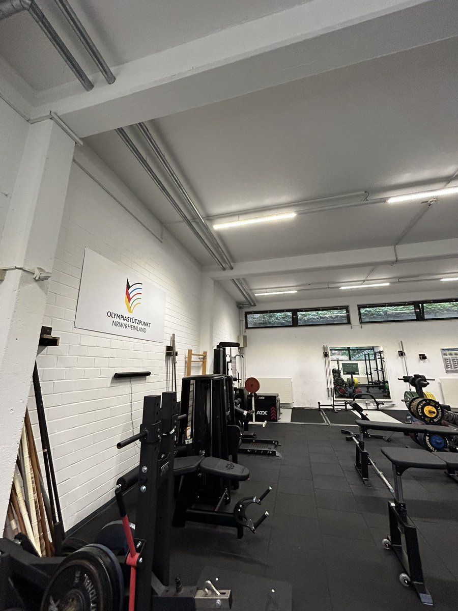 Alice Maggio tweet media