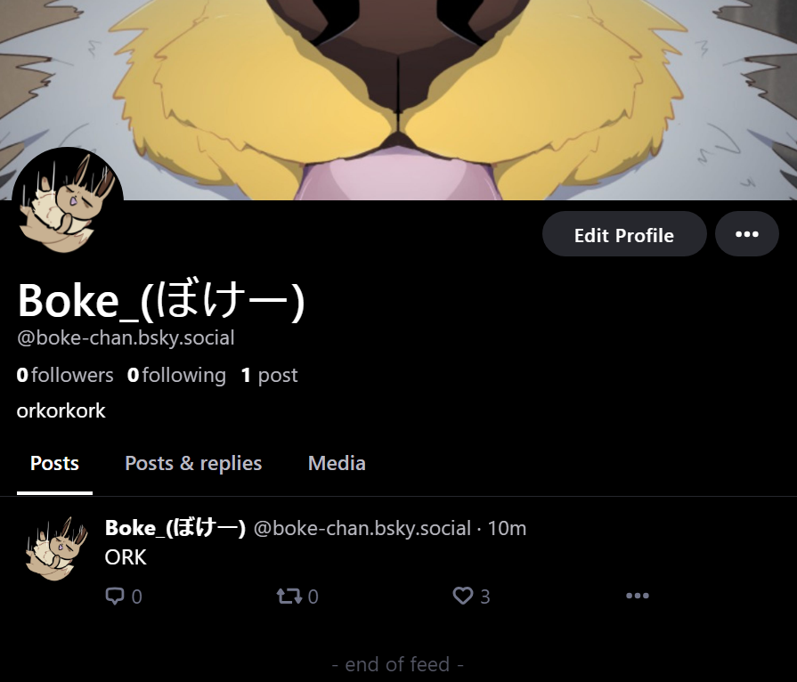 ぼけー tweet media