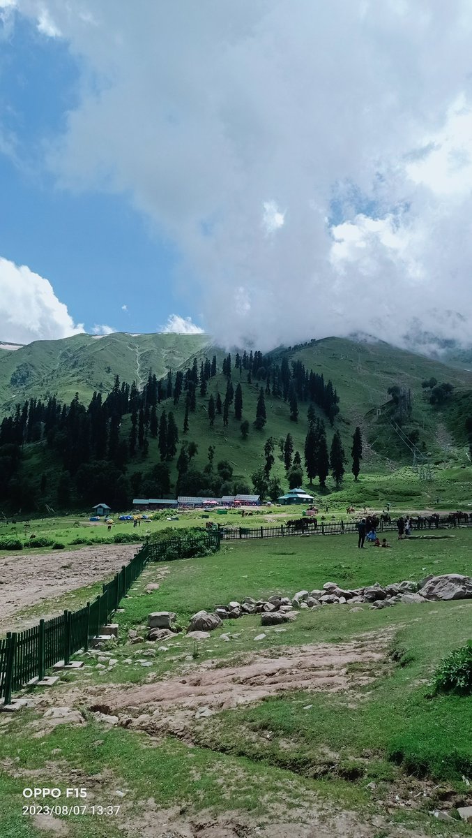 DivyaTh64419987's tweet photo. It's beautiful Kashmir #gulmarg #dallake https://t.co/QO4RINJv7U
