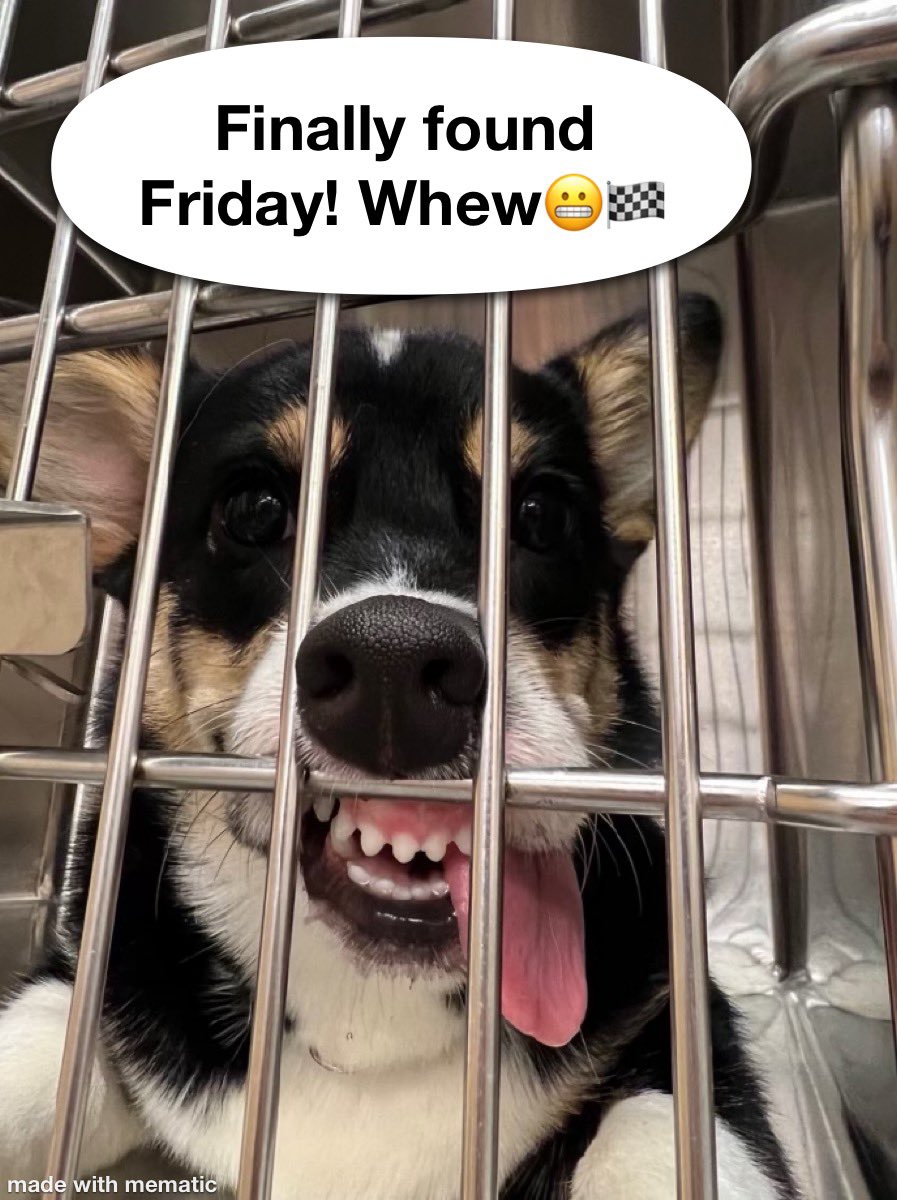 Dr. Kay Sellers-Carte tweet media