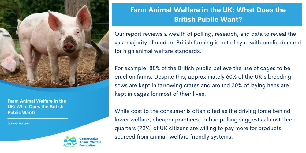 Our report 'Farm Animal Welfare in the UK: What Does the British Public Want?' reveals the gap between what citizens and consumers demand, and the realities of what they receive via UK farming industry methods of production and practices. Read more here: tinyurl.com/yutc4yv6