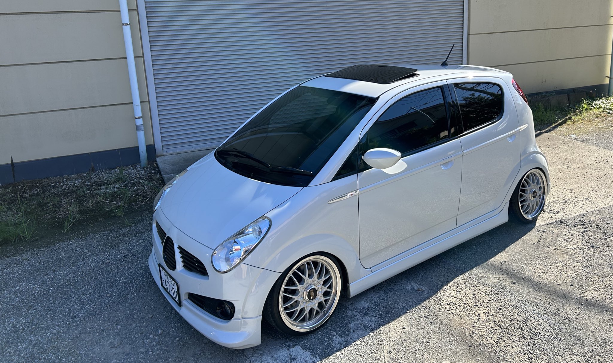 ひらめです 22 kaijin ライトヒラメ | alphatackle