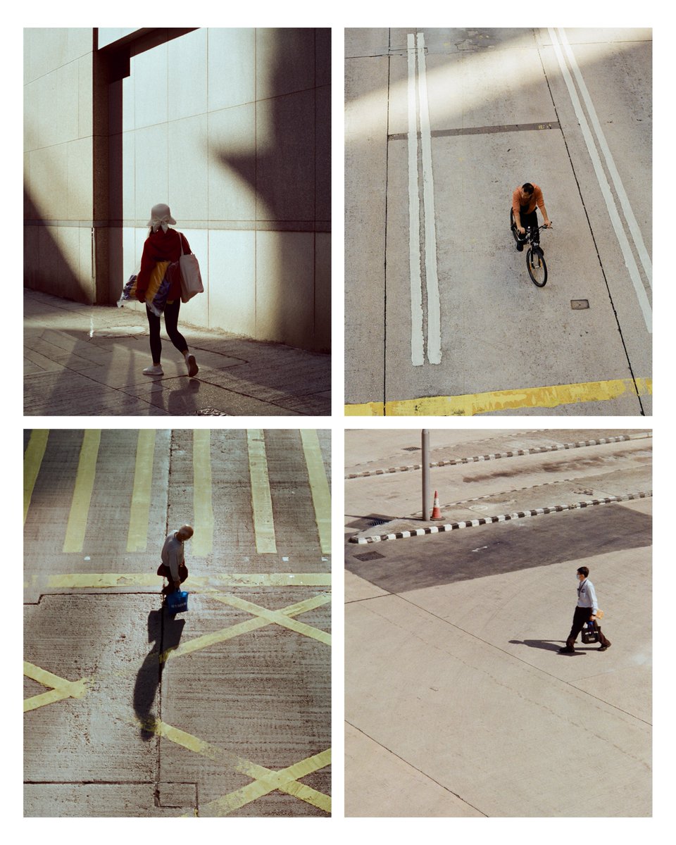 Fishmonkeycow tweet media