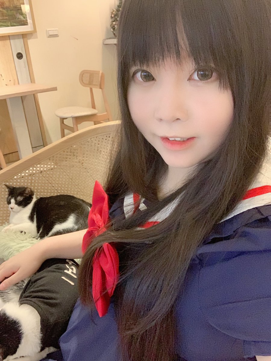 yichan00913's tweet photo. 開放報名貓貓✨ https://t.co/zR6Y8ZJZLb