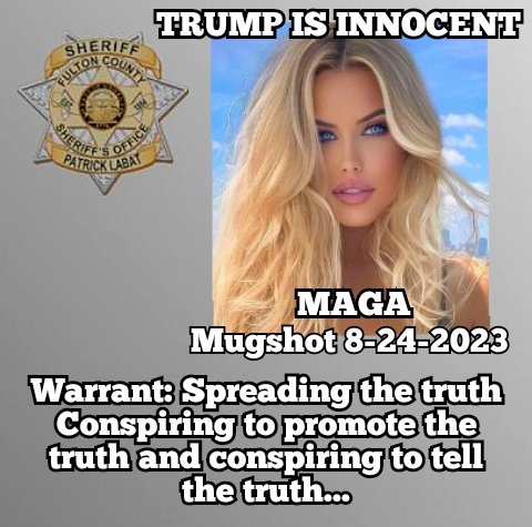 @realDonaldTrump Trump Is Innocent!!!! Conspiring to get to the truth on election fraud!!! There's no law against that!!! It's all Trumped up charges!!! Indict Me!!! I'm trying to get the truth too!!! As famous as he is, do you think really he could inpersonate someone else???? BS!!!