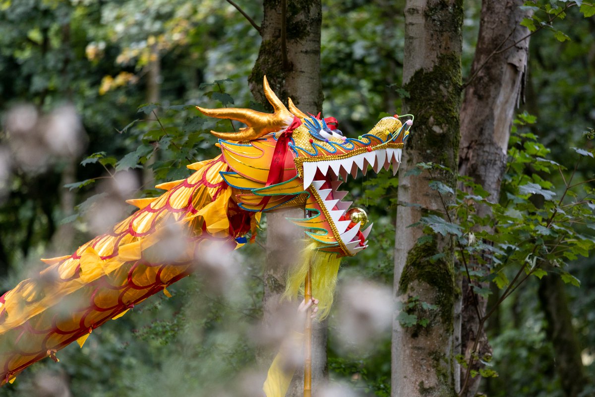 Earlier this week, to celebrate the opening of the Music Pavilion in the Chinese Streamside Garden at <a href="/RHSBridgewater/">RHS Bridgewater</a>, we welcomed guests from the Manchester Chinese community and there was even an amazing dragon dance 🐉

Book your visit to see it: rhs.org.uk/gardens/bridge…