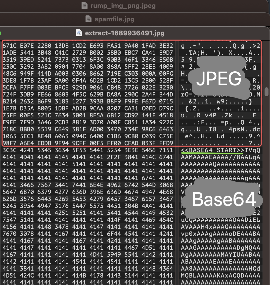 Jane_0sint's tweet photo. #AgentTesla binary file inside Jpeg image -> retrieved by PS.Loader script⏬
https://t.co/RBQFp5jSV5 https://t.co/SJQpkquIOh