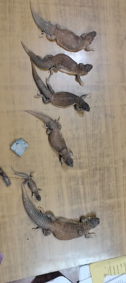 DFO Hathras tweet media