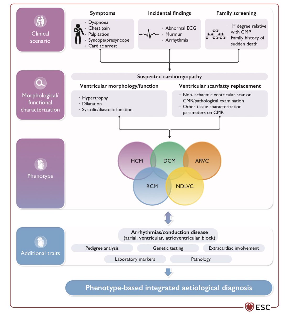 JTLLERGO's tweet photo. ⚠️ 2023 ESC Guidelines for the Management of Cardiomyopathies‼️

#ESCCongress #laSECtelleva @secardiologia @ESC_Journals 

@seccCFyGenetCV @almucastro01 @MAROSFO @domingomarzal @rdelaespriella @Ana_Viana_T @CrisdelaRosa13 

https://t.co/qeX8NyF4A7 https://t.co/1H2hLn64eW