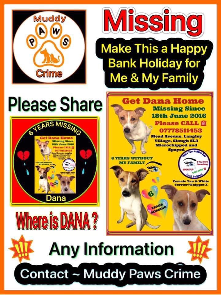 Our sweet Dana is still out there! 

We miss her so much and desperately need her home!

Thank you Karen Field, MUDDY PAWS CRIME, and all our wonderful followers, for always supporting us. 
🙏🏼❤️🙏🏼