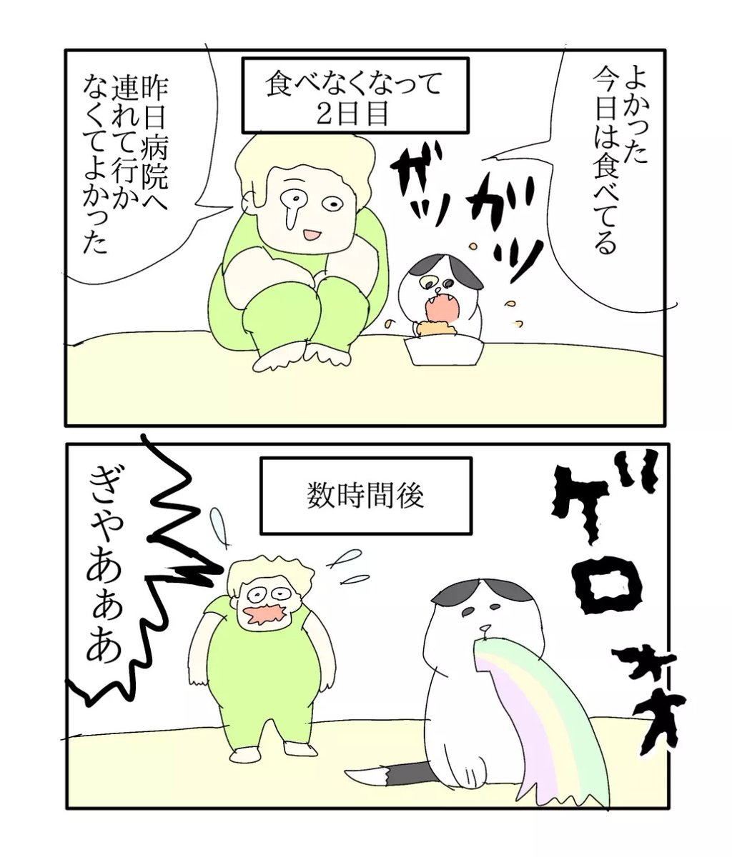 ajimaruzenzai's tweet photo. （1/7）
タマちゃん今年14歳です https://t.co/opJ8zabU77