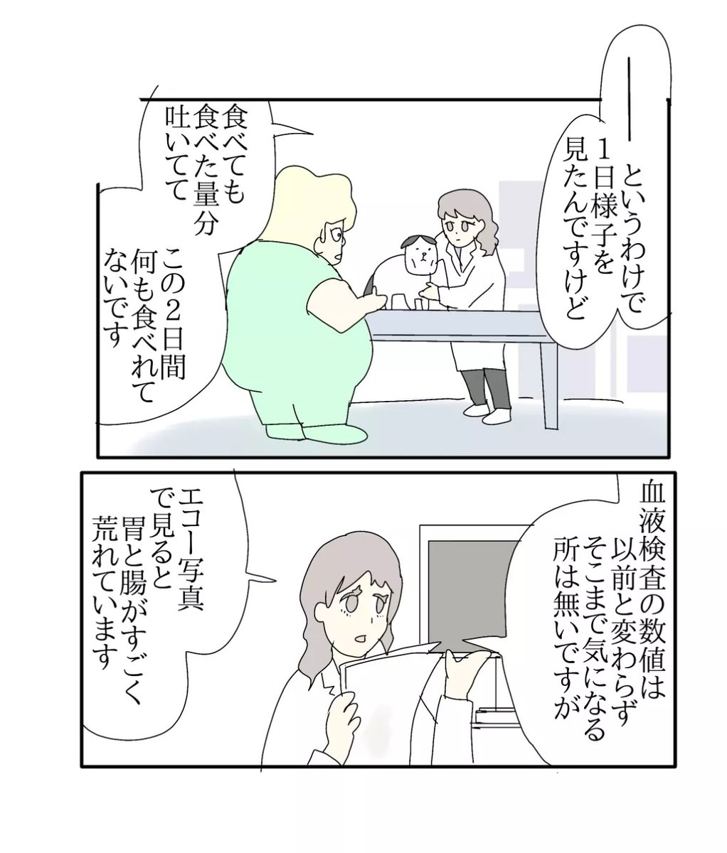 ajimaruzenzai's tweet photo. （1/7）
タマちゃん今年14歳です https://t.co/opJ8zabU77