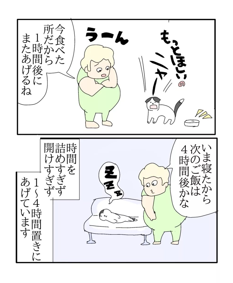 ajimaruzenzai's tweet photo. （7/7） https://t.co/eFvXPP7hxg