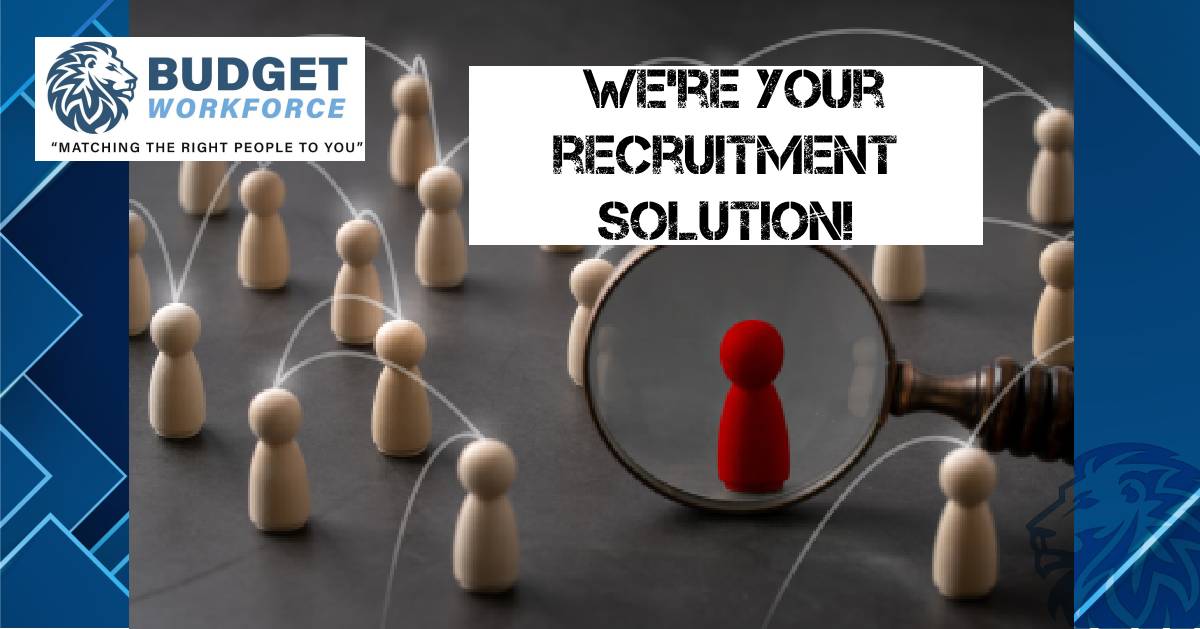 BudgetWorkforce's tweet photo. 🌟 Find your perfect workforce with Budget Workforce! From warehousing to administration, we're your recruitment solution. Explore now at https://t.co/QrVRt1emZe. 🚀💼 #BudgetWorkforce #RecruitmentExperts #BuildYourTeam https://t.co/Uv0KJo5c51
