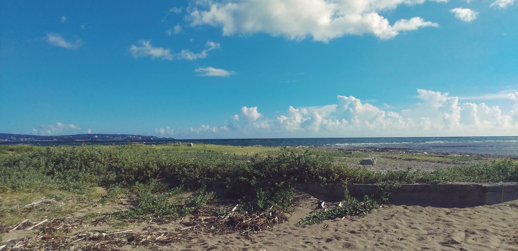 chandoigg's tweet photo. 秋みたいな風ふいてるとなんか夏の終わりってかんじでさみしくなる https://t.co/zPaDIRuyLj