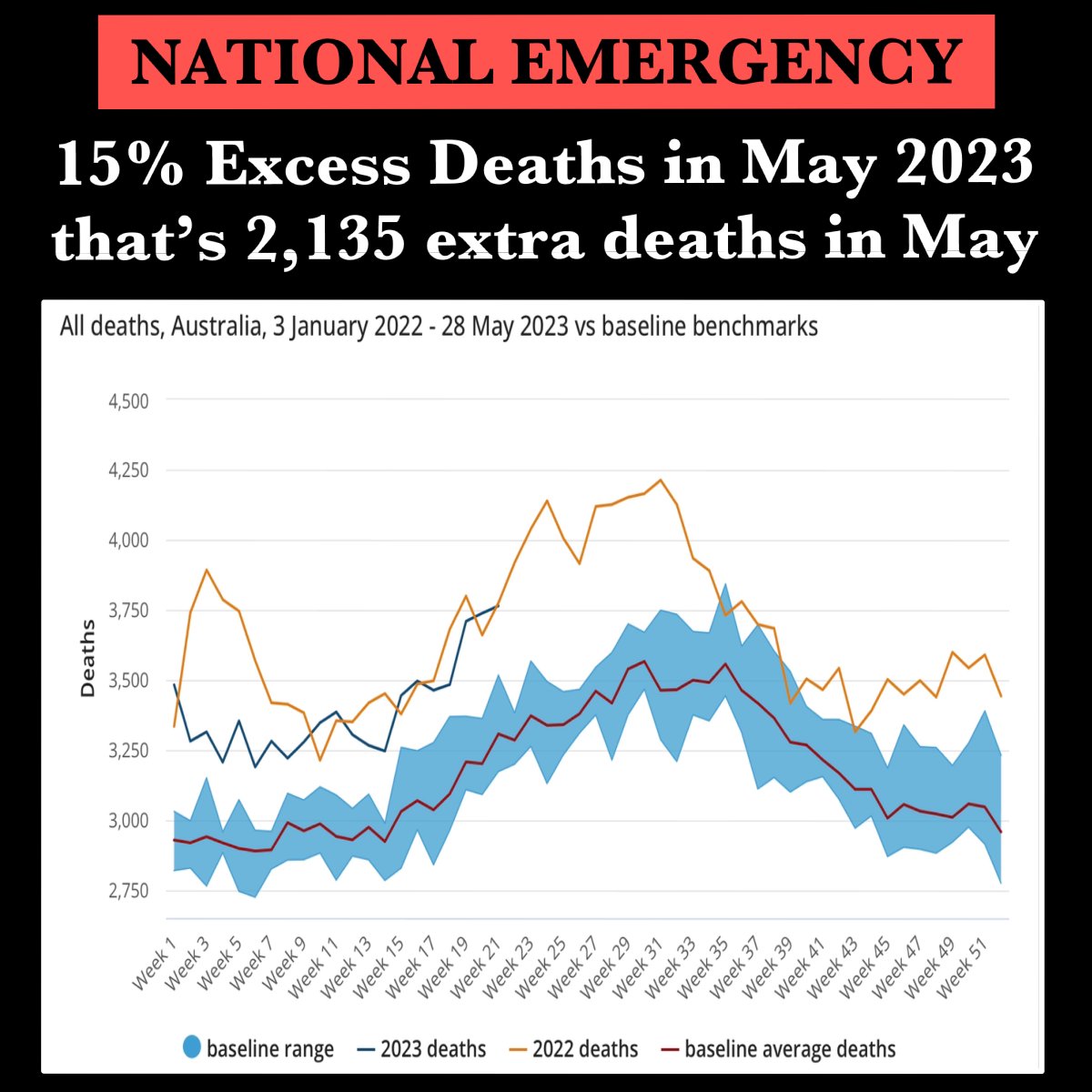 Craig Kelly:🇦🇺Foundation for Economic Education tweet media