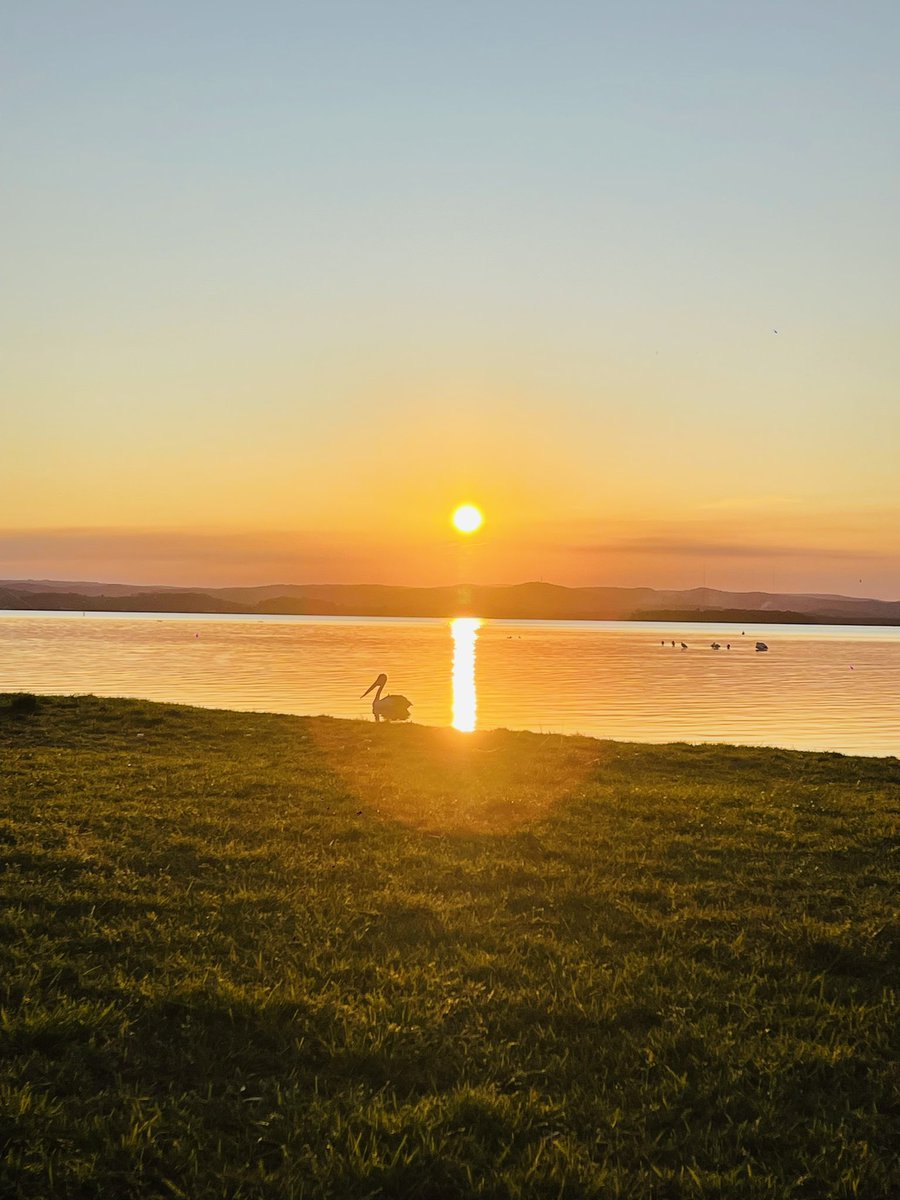 Beautiful 😍 sunset at The Entrance today . Scooby didn’t want to play much and sat calmly  just watching the sunset with me (and eyeing all the pelicans and birds around us 🐶👀 😄😂) #FriYaYVibes #ScoobySays #BeachLife