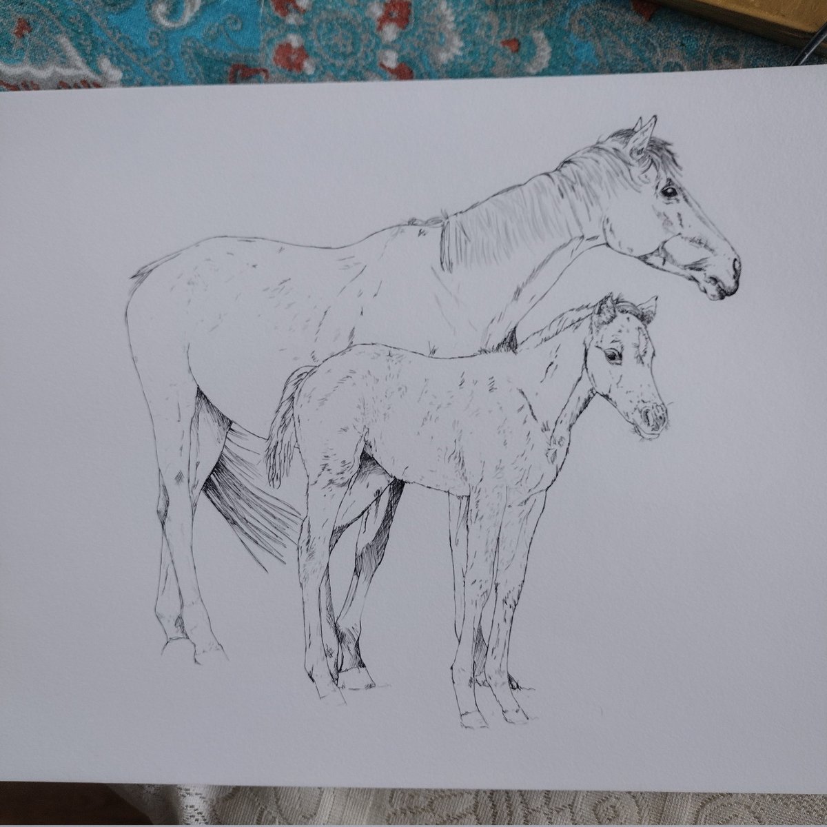 Adding to the herd. 🐎😊
I need a few drawings for a series prints for a little girl's bedroom. Even though I have lots of horse photos, I need more!! 
So later I will be taking my camera into the paddocks. 😊
Not quite finished, but getting there. 
#artwork #pendrawing