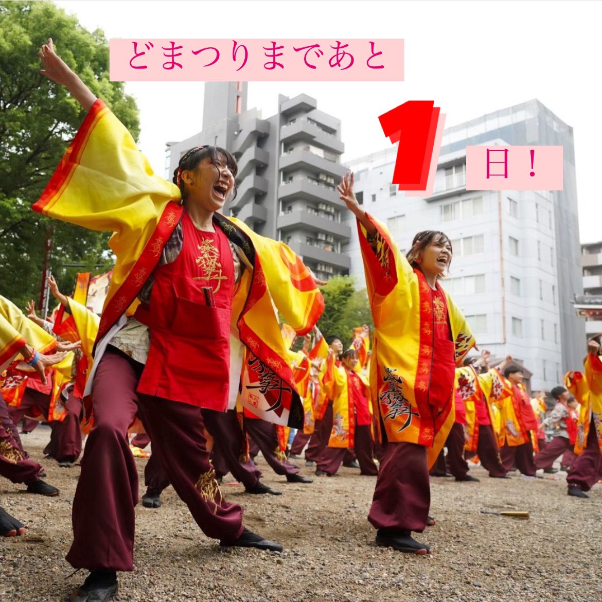 higomaguma's tweet photo. 【どまつりカウントダウン】
どまつりまであと1日！！

いよいよ前日になりました！実はどまつり、前夜祭は今日から始まっています！

最後は肥後真狗舞代表のさとみんこと里見颯太さんにどまつりへの意気込みを語ってもらいます！
みなさんぜひご覧ください🔥 https://t.co/Yrv0PE00ZN