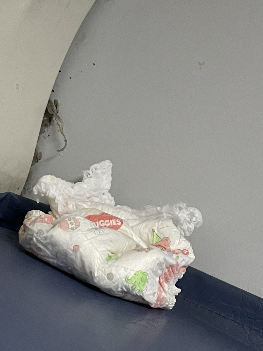 Megha_Mishka's tweet photo. This is the condition of duronto express from pune - nizzamudin . I am travelling from pune and while boarding i saw this . PNR NO. - 8852410697. This is what we are getting after paying huge amount of money . @IRCTCofficial @irctcnorthzone  @HindustanTimes  
@timesofinda. https://t.co/zLemywyoRt