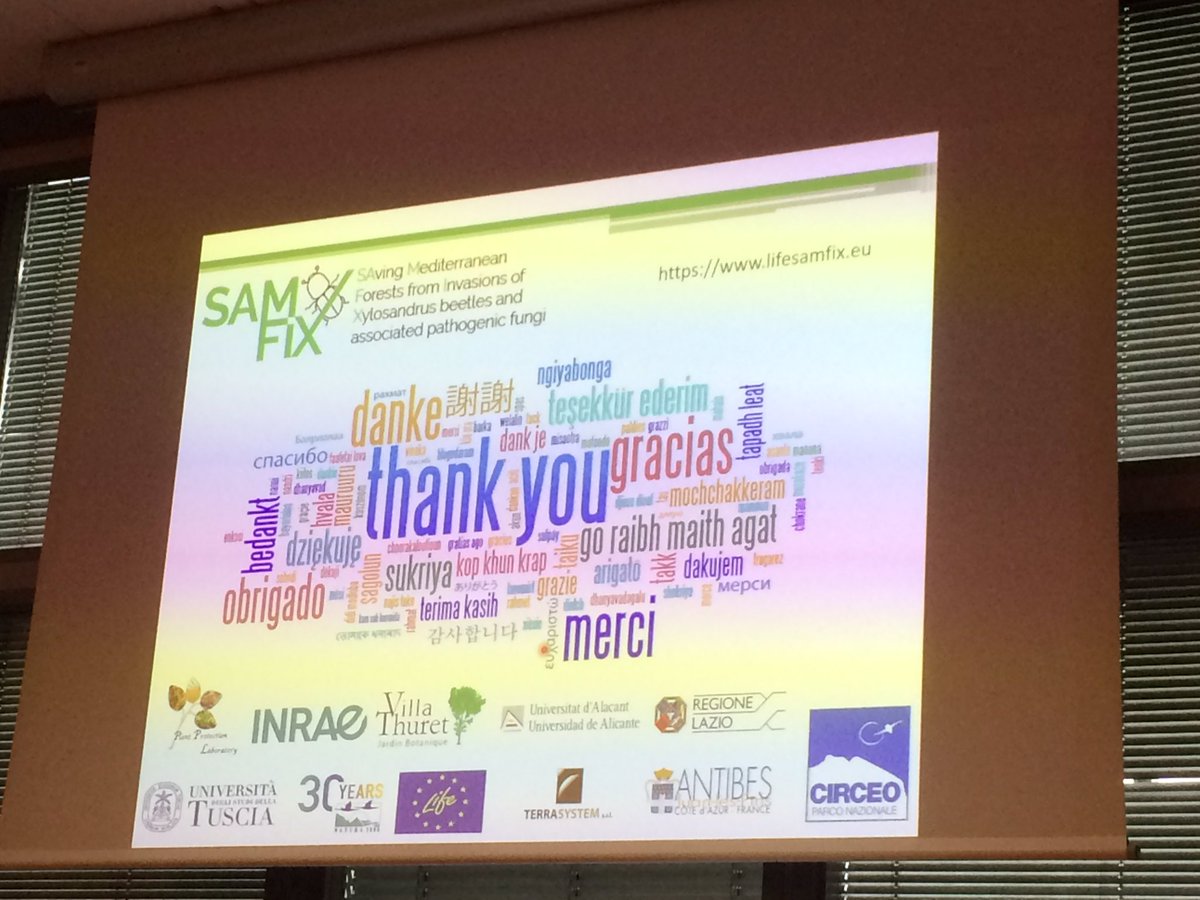 pascal_frey's tweet photo. #ICPP2023 Carmen Morales Rodriguez on the outbreak of #Xylosandrus spp. and associated #fungi in Spain
#SamFix project https://t.co/X5ZnYj8Eob