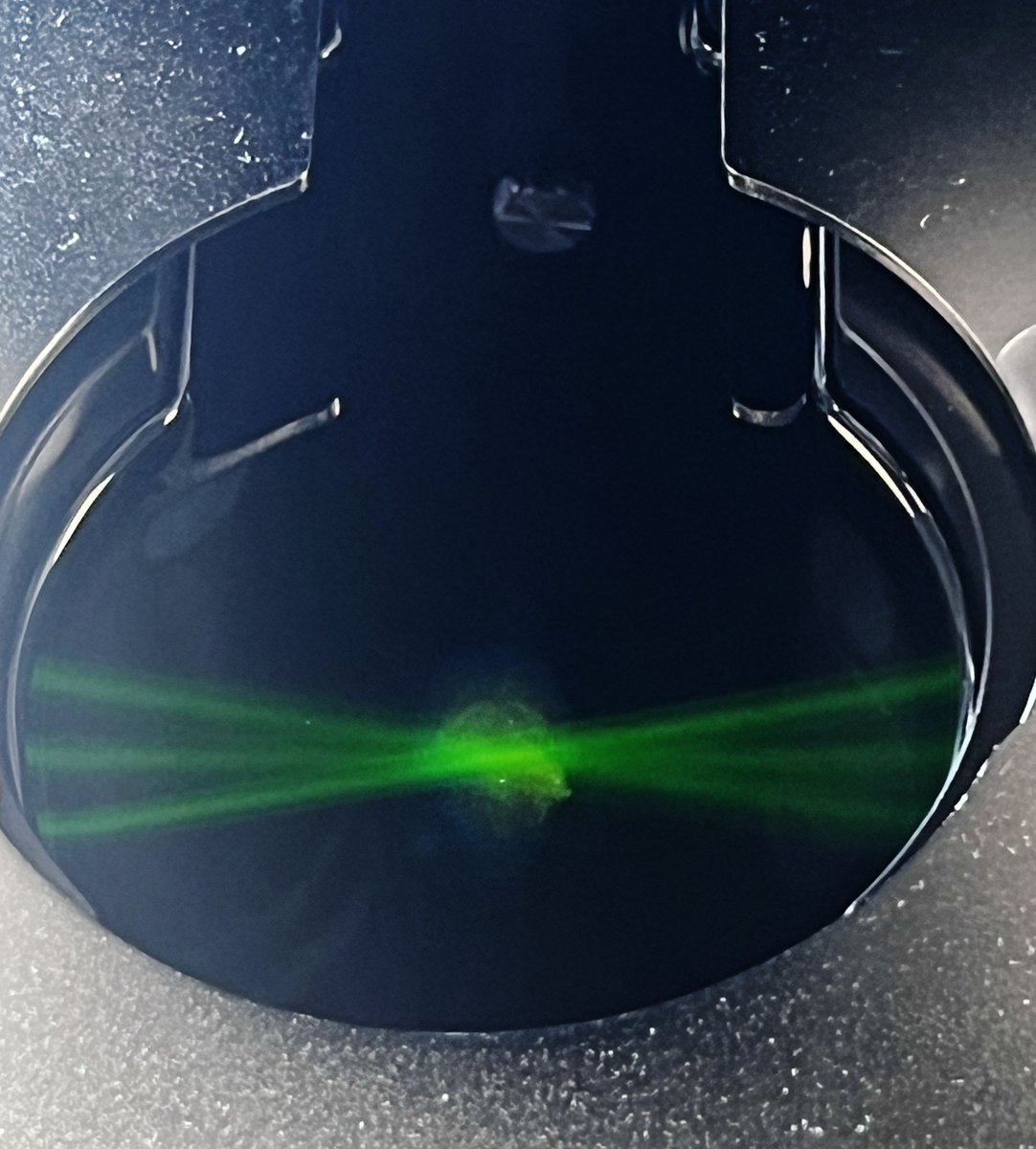 BNMI Nordic Microscopy tweet media