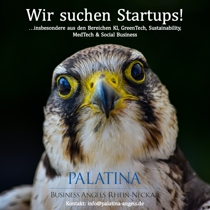 StartersCapital's tweet photo. PALATINA Business Angels suchen Startups.
Kapitalsuchende sollten sich melden! Benefits?
+ Kontakt zum aktivsten BA-Netzwerk der Region 
+Mögliche Teilnahme an Pitch-Events vor Investoren 
+Unterstützungsangebote zur Finanzierung 
Kontakt? info@palatina-angels.de. Viel Erfolg!🚀 https://t.co/n6YZEZ2kfJ