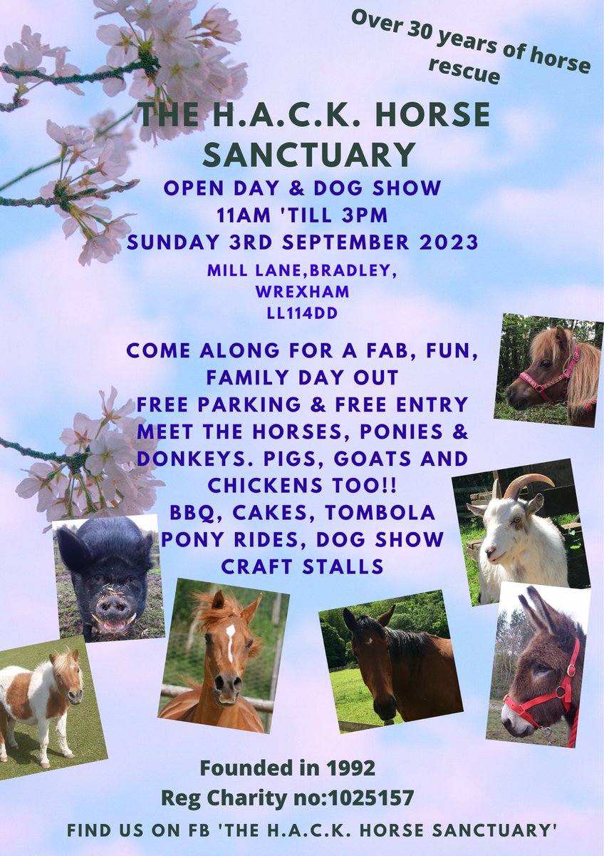 H.A.C.K. Horse Sanctuary tweet media