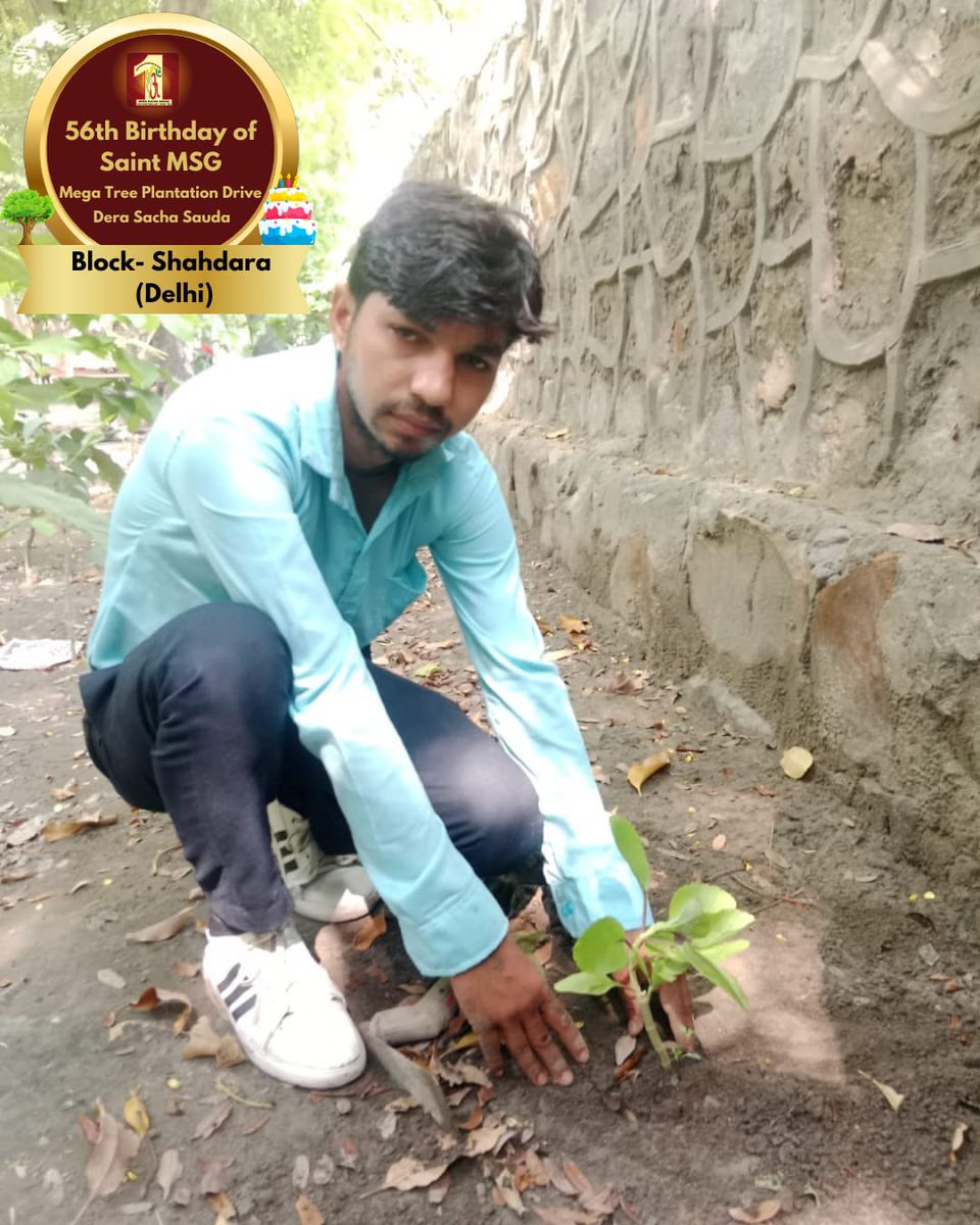DSSNewsUpdates's tweet image. Celebrating life, celebrating nature. Birthday wishes to our guiding light! For ‘MSG Bhandara’ 56th birthday of Saint Dr. Gurmeet Ram Rahim Singh Ji Insan, Dera Sacha Sauda volunteers pledged to make world greener.  🌍 🌳 #56thBirthday #SaintDrMSG #TreePlantation
