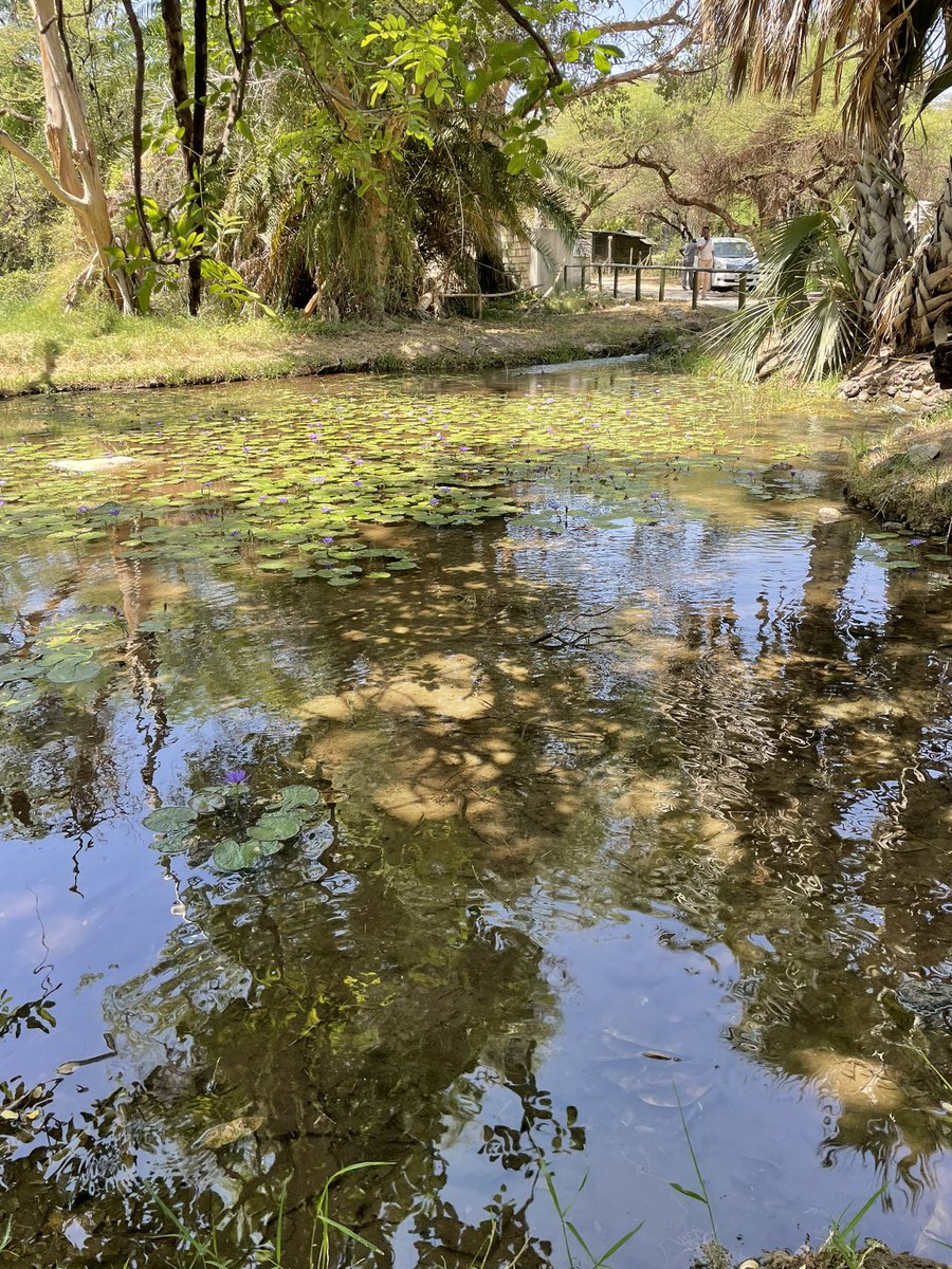 SamatarGuleid's tweet image. ZURU ISIOLO, TEMBEA ISIOLO.