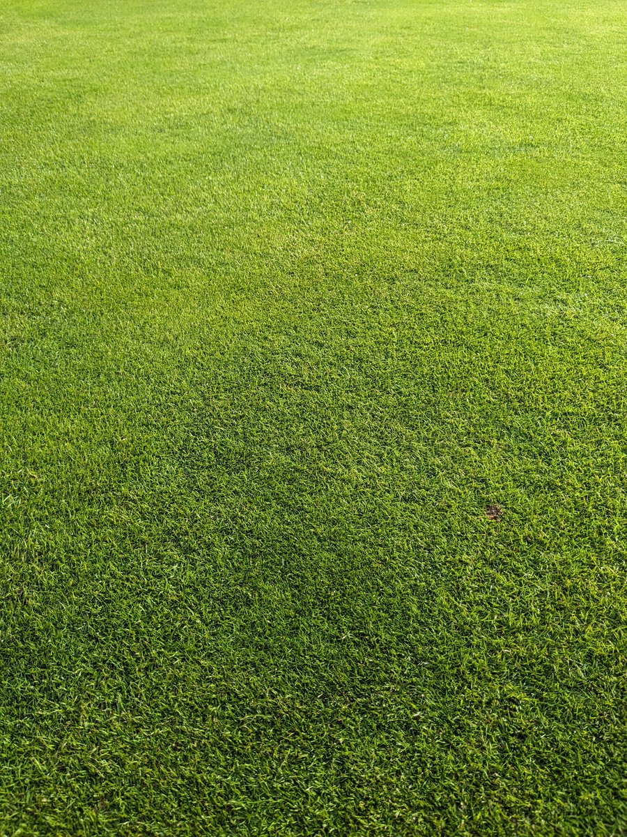 VLGC Greens tweet media