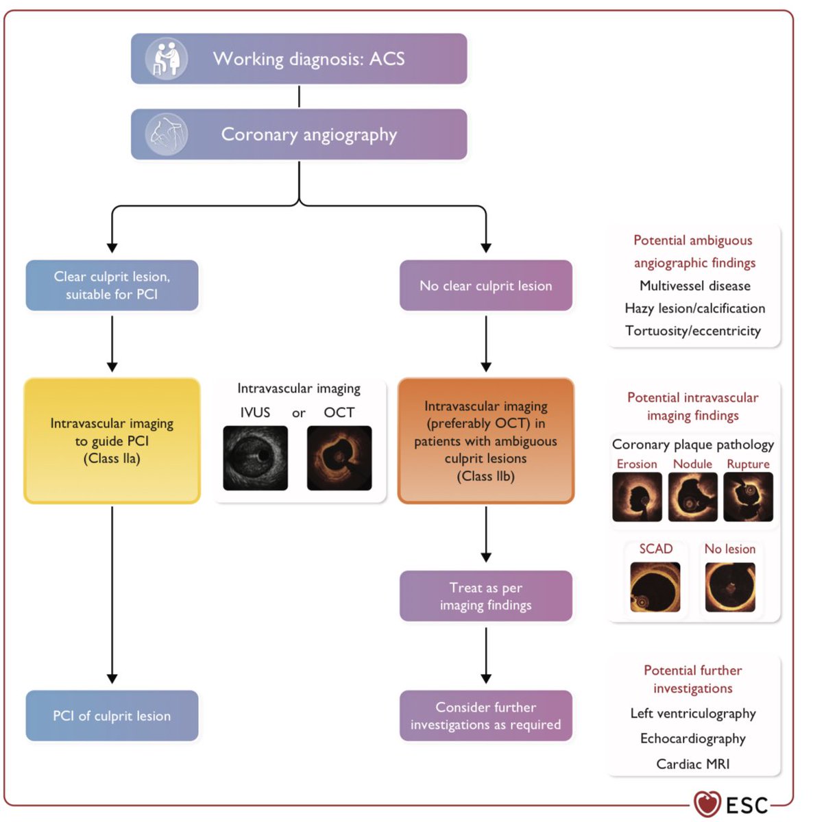 #ImageFirst in #ACS

‼️‼️IIa/A‼️‼️ in the new #ACSguidelines at #ESCcongress

Next stop: 
➡️ I/A for every (complex) PCI 🫶

@mirvatalasnag @jedicath @kaschenke @sulimov_dmitry @thiele_holger @MarcVorpahl @GhanemAlexander @m_leistner 

#PrecisionPCI #ModernPCI #SMARTpci