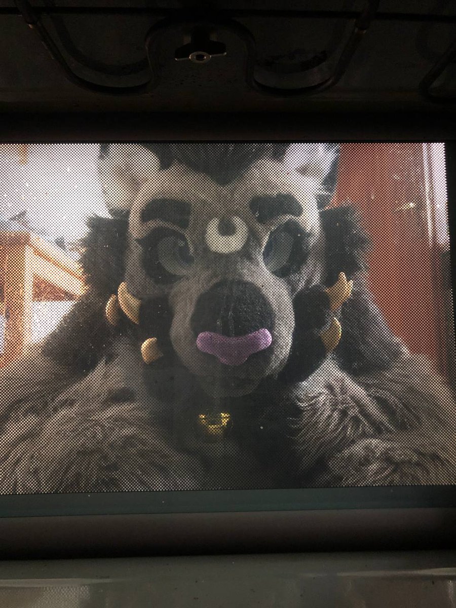 FluffySnep tweet media