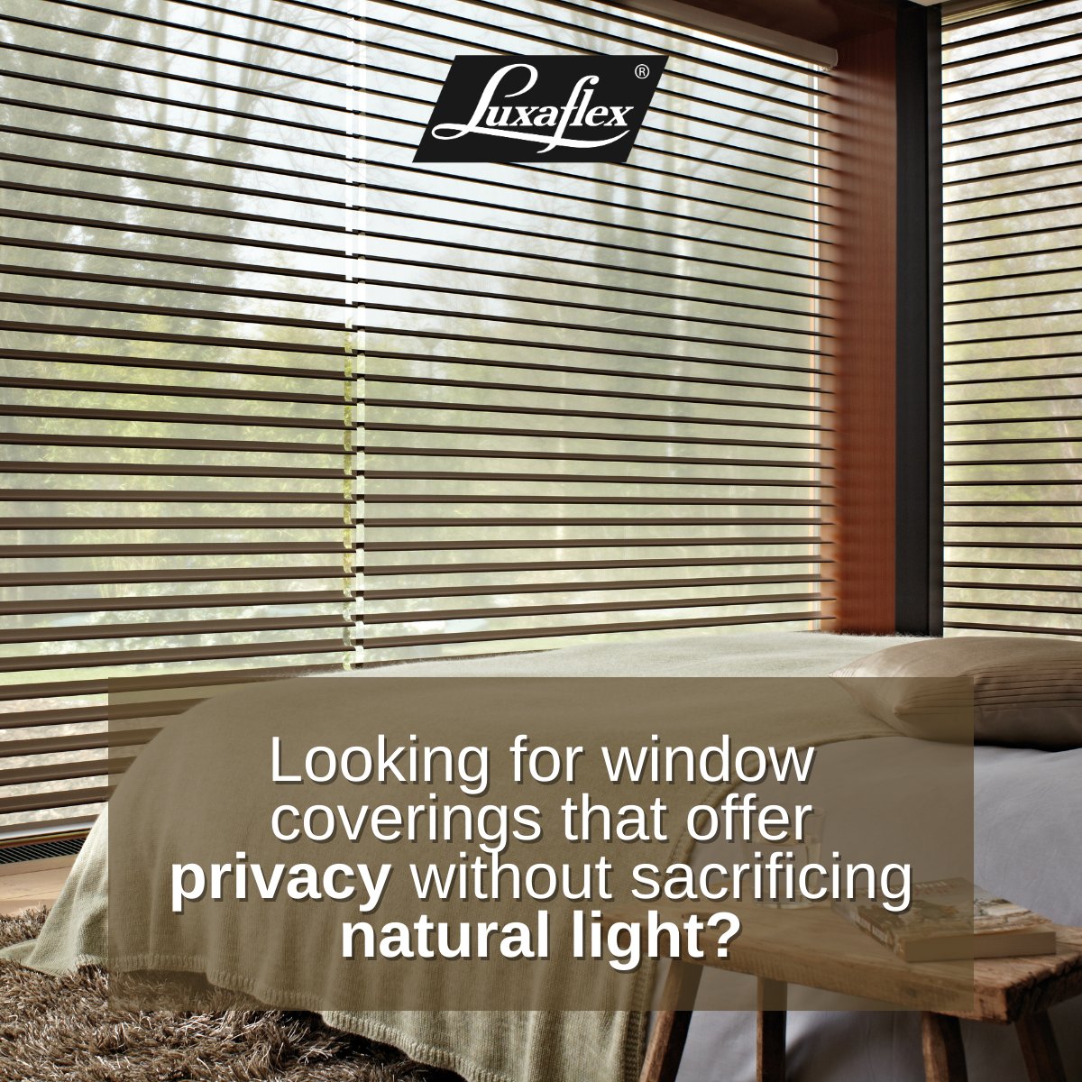 LuxaflexS's tweet photo. Luxaflex® fabric shades feature adjustable fabric vanes that provide privacy while maintaining a soft, diffused glow.

#luxaflex #luxaflexsa #duetteshades #shutters #venetianblinds #woodblinds #rollerblinds #silhouetteshades #blinds #shades #windowcoverings #interiordecor https://t.co/MlZkOfsR6d