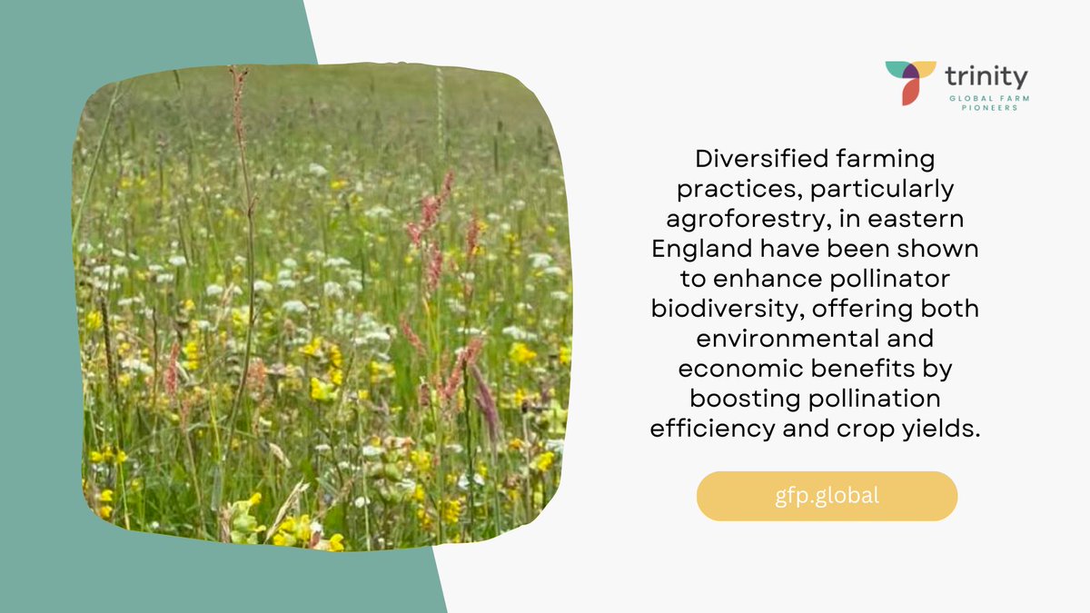 Trinity Global Farm Pioneers tweet media