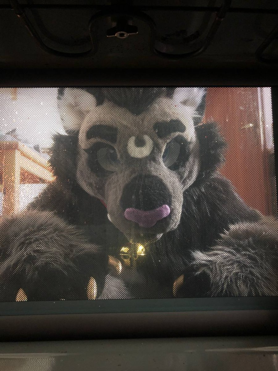 FluffySnep tweet media