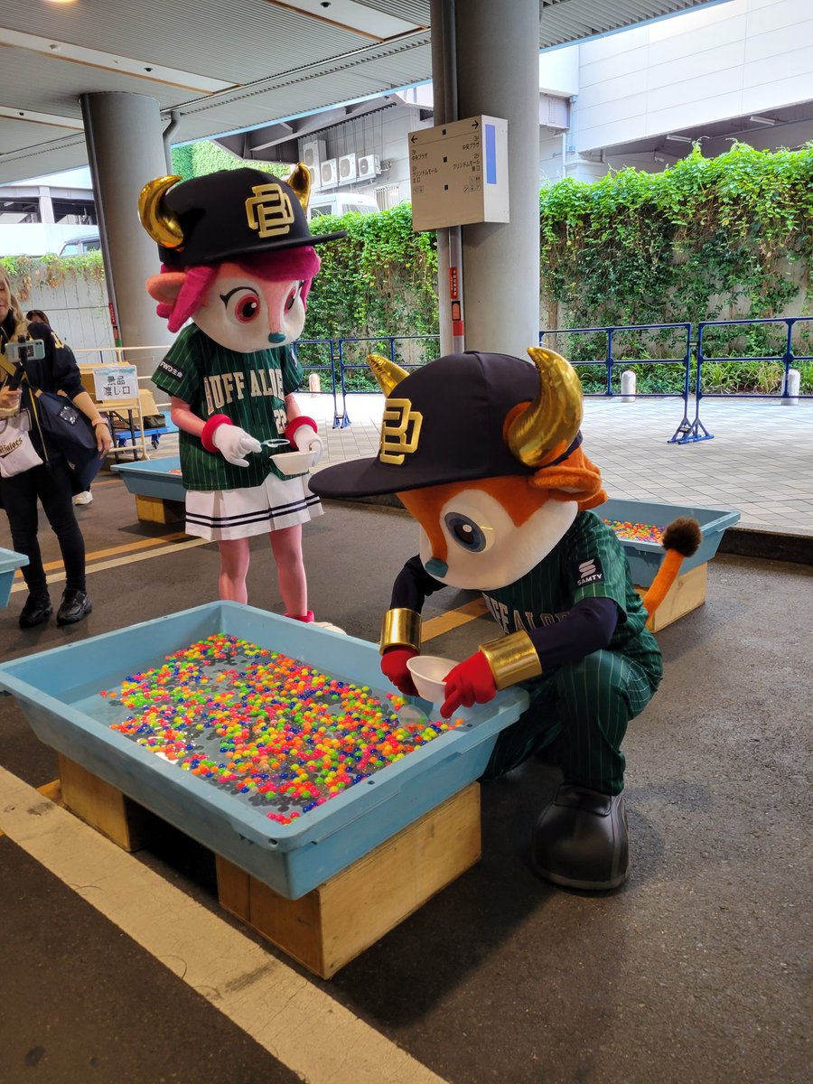 sma111a's tweet photo. ベルちゃん残念💦

 #バファローズポンタえんにち https://t.co/cL9d5njqs4