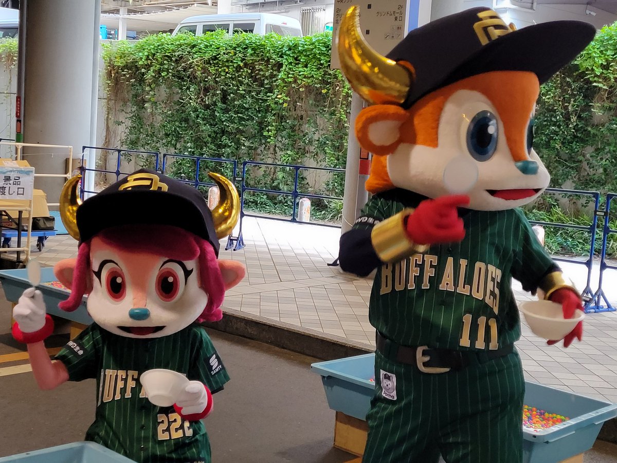 sma111a's tweet photo. ベルちゃん残念💦

 #バファローズポンタえんにち https://t.co/cL9d5njqs4