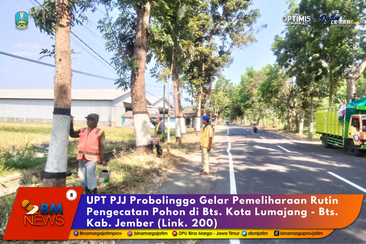 dbmjatim's tweet photo. #sobatbima ,

Guna meningkatkan keselamatan pengguna jalan, UPT PJJ Probolinggo @dbmjatim melaksanakan kegiatan pemeliharaan rutin pengecatan pohon di wilayah bts. Kota Lumajang - bts. Kab. Jember, Selasa (22/8).

-> https://t.co/Pp6kvnSeDn https://t.co/RDM8LjMZ8E